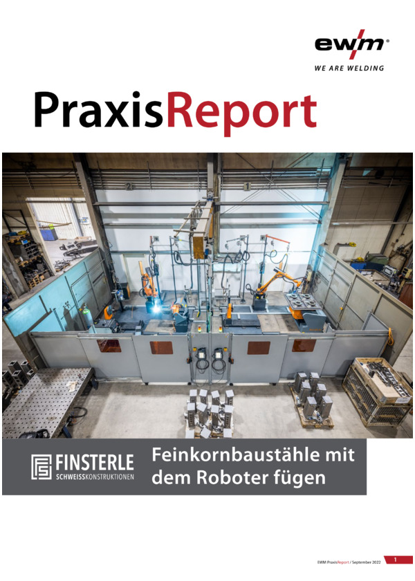 053-000198-00003_PraxisReport_Finsterle.pdf