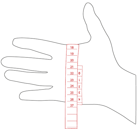 Dimensiones de la mano