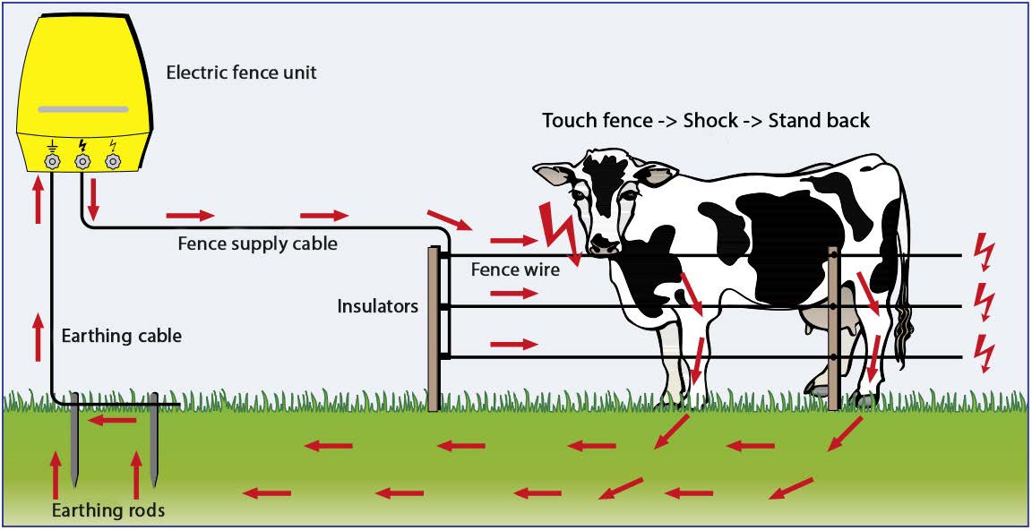 (aid infodienst – Safe Pasture Fences brochure)